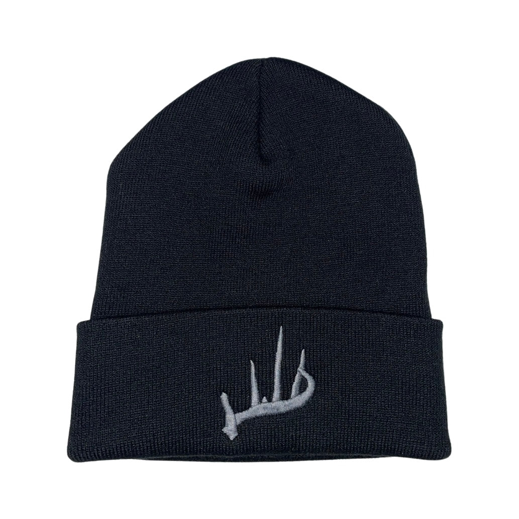 InFocus Beanie